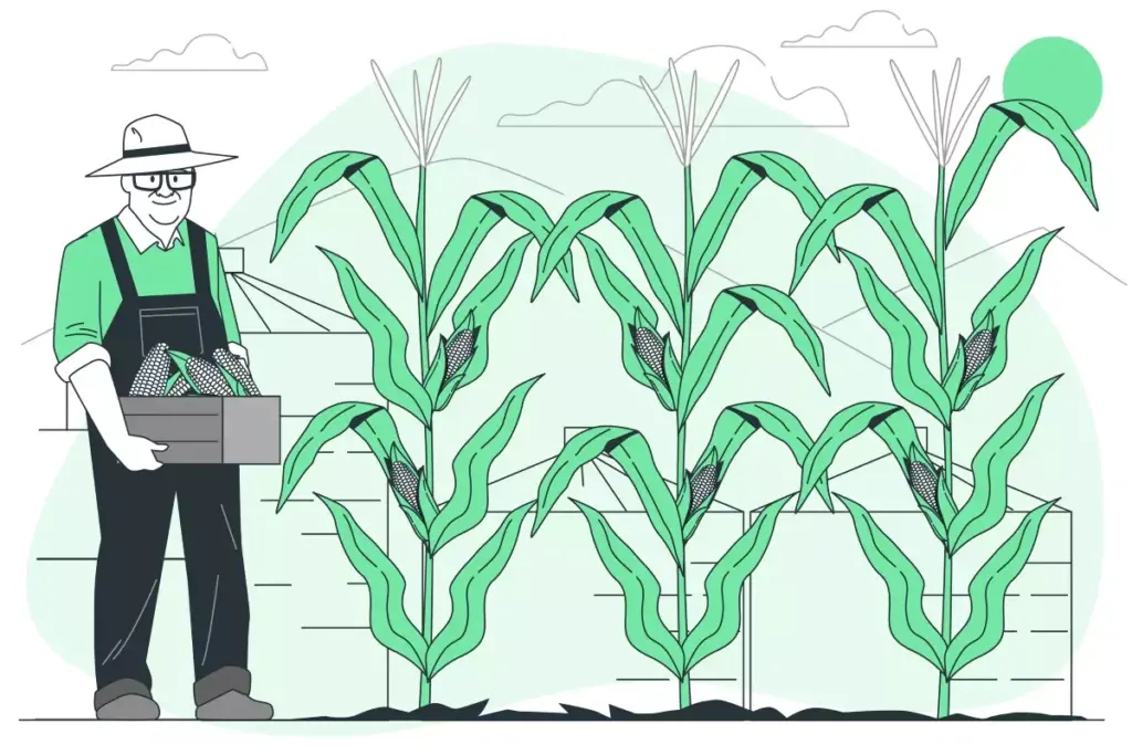 Imagem ilustrativa de um trabalhador do agronegócio no campo, carregando uma caixa de produtos agrícolas, simbolizando trabalho intermitente para o mercado de agronegócio.